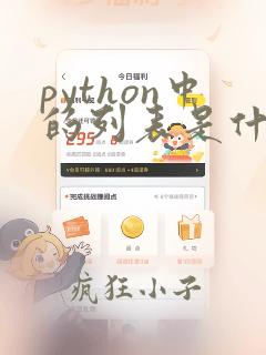 python中的列表是什么类型的数据结构