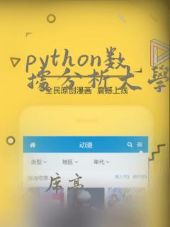python数据分析大学课程