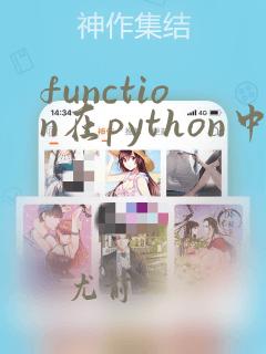 function在python中的含义