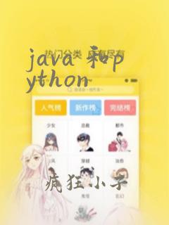 java 和python