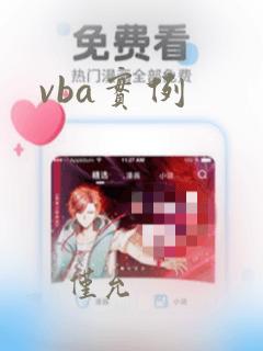 vba实例