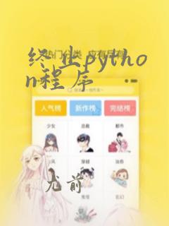 终止python程序