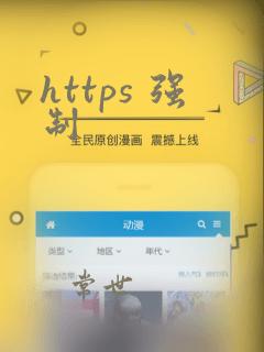 https 强制