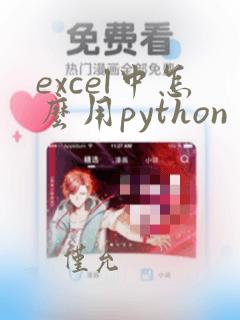 excel中怎么用python