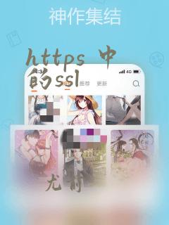 https 中的ssl