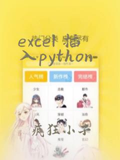 excel 插入python