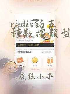 redis的五种数据类型及使用场景