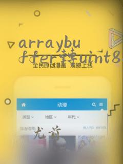 arraybuffer转uint8array
