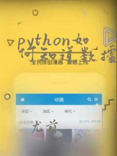 python如何知道数据类型