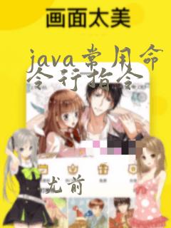 java常用命令行指令