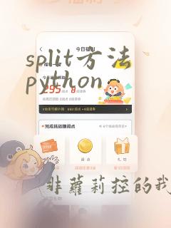 split方法python