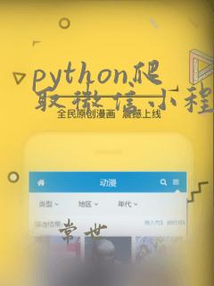 python爬取微信小程序数据