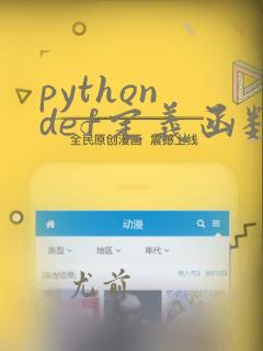 python def定义函数