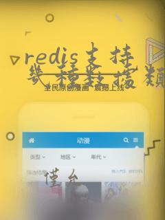 redis支持几种数据类型