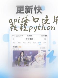api接口使用教程python
