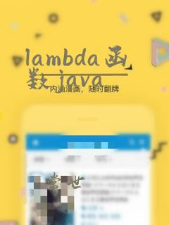lambda函数java