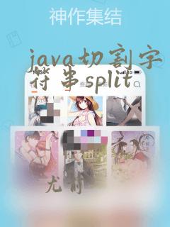 java切割字符串split