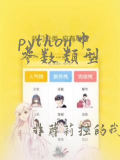 python中参数类型