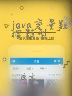 java变量数据类型