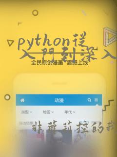 python从入门到深入