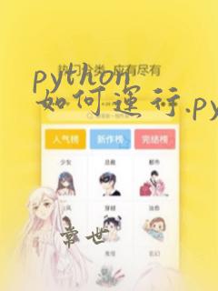 python 如何运行.py