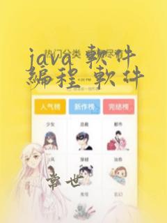 java 软件编程 软件