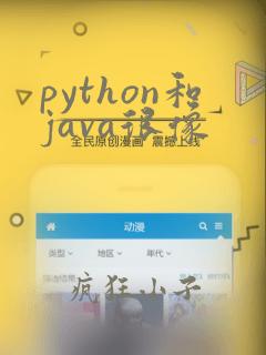 python和java很像
