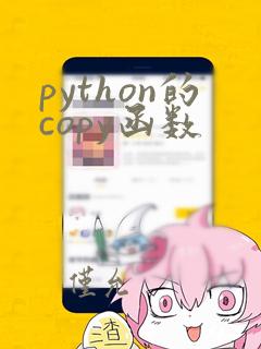 python的copy函数
