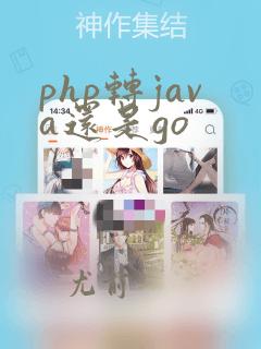 php转java还是go