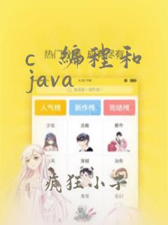 c 编程和java