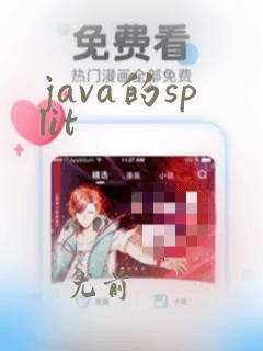 java的split