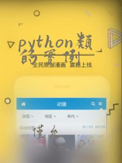 python类的实例