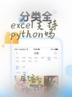 excel支持python吗