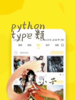 python type类