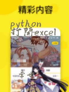 python 打开excel