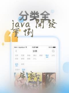 java 开发实例