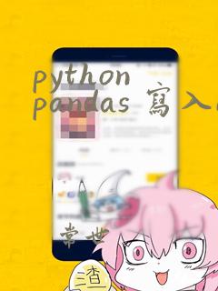 python pandas 写入excel