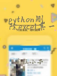 python删除excel某一列