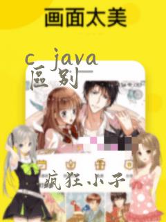 c java区别