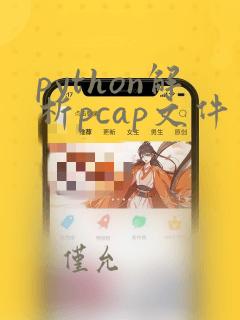 python解析pcap文件