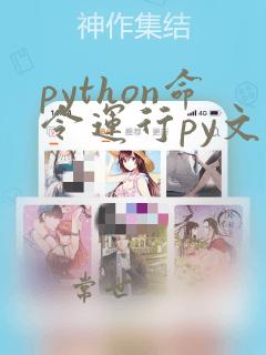 python命令运行py文件
