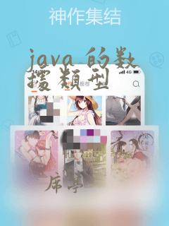 java 的数据类型