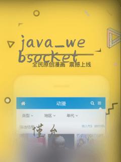 java_websocket