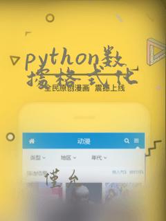 python数据格式化