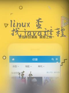 linux 查找java进程