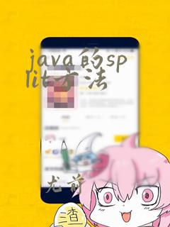 java的split方法