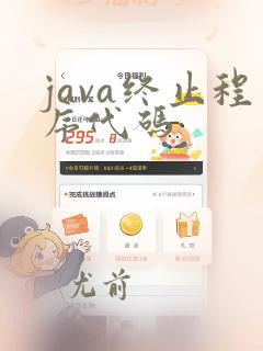 java终止程序代码