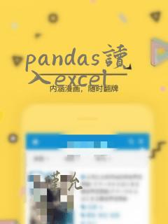pandas读入excel