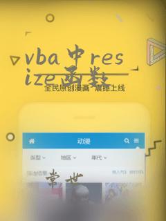 vba中resize函数