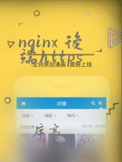 nginx 后端https